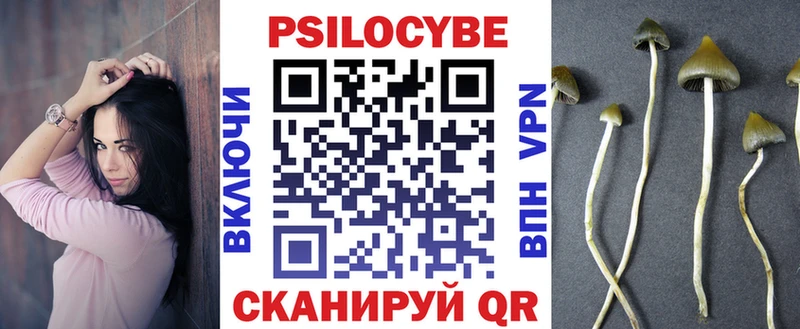 shop наркотические препараты  Октябрьск  Псилоцибиновые грибы GOLDEN TEACHER 